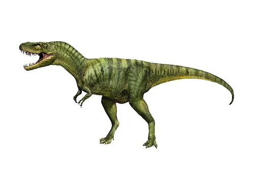 Albertosaurus (Alberta lizard)