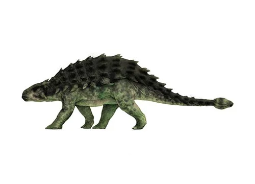 Ankylosaurus‭ (‬Fused lizard‭)