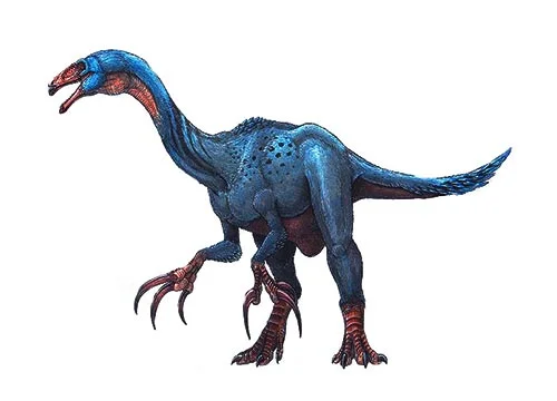 Beipiaosaurus ‭(‬Beipiao lizard‭)