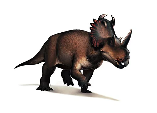 Centrosaurus ‭(‬pointed lizard‭)‬