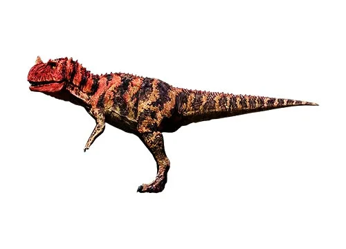 Ceratosaurus‭ (‬Horned lizard‭)