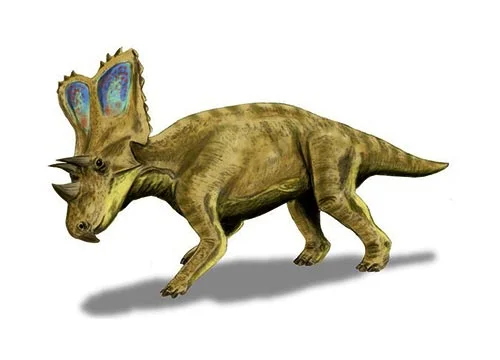 Chasmosaurus (Cleft lizard)
