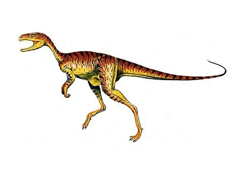 Chindesaurus ‭(‬Chinde lizard‭)