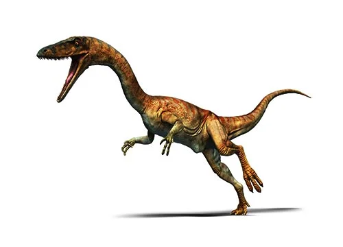 Coelophysis‭ (‬Hollow form‭)