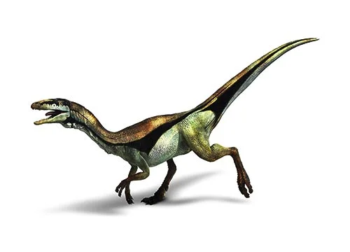 Compsognathus ‭(‬Pretty jaw‭)