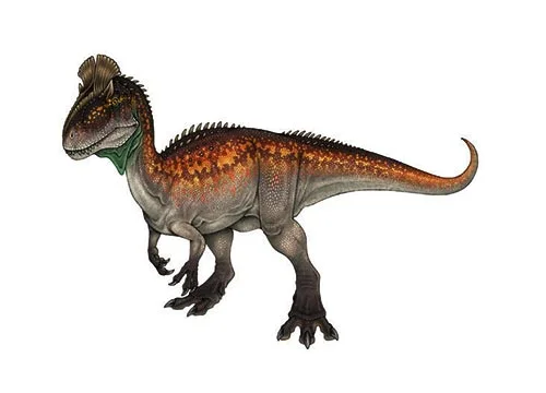 Cryolophosaurus ‭(‬Cold crest lizard‭)
