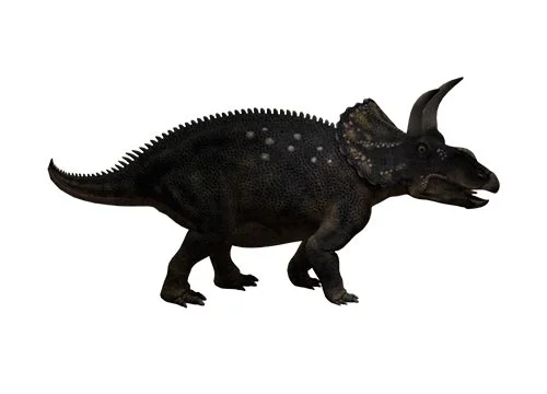 Diceratops (Greek for “two-horned face”)