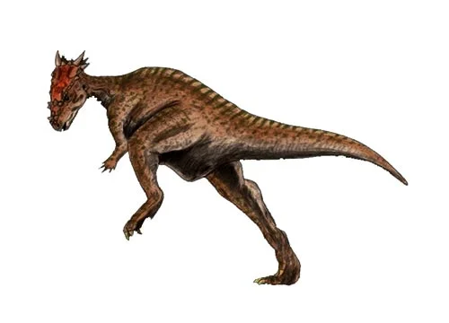 Dracorex ‭(‬Dragon king‭)