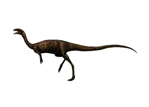 Elaphrosaurus ‭(‬Lightweight lizard‭)