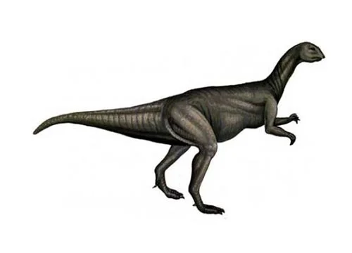 Fabrosaurus ‭(‬Fabre’s lizard‭)