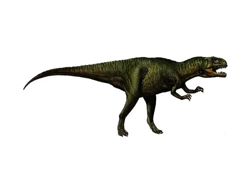 Gasosaurus ‭(‬Gas lizard‭)