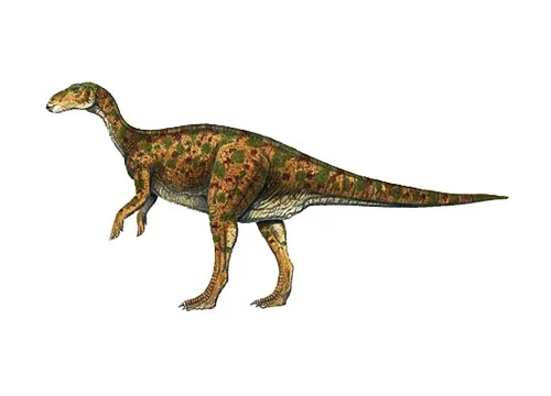 Gilmoreosaurus ‭(‬Gilmores‭’ ‬lizard‭)‬