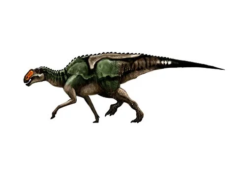 Gryposaurus ‭(‬hook nosed lizard‭)