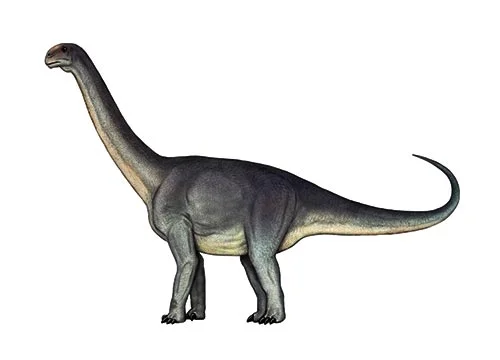 Kotasaurus ‭(‬Kota lizard‭)