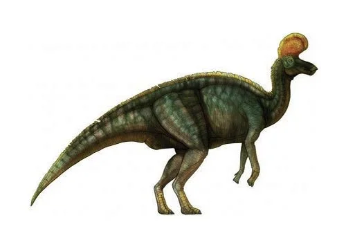Lambeosaurus ‭(‬Lambe’s lizard‭ ‬-‭ ‬after the palaeontologist Lawrence Morris Lambe‭)