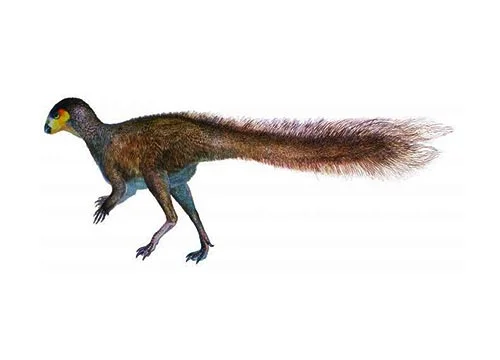 Leaellynasaura (Leaellyn’s lizard)