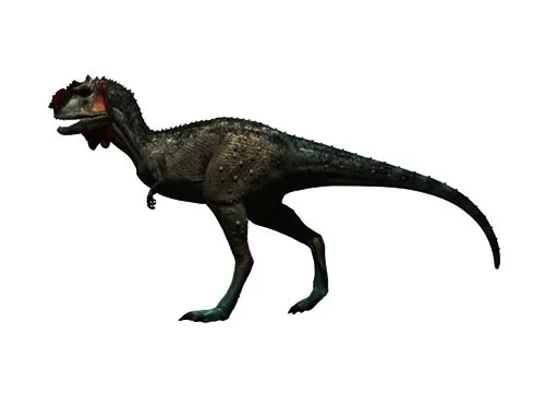 Majungasaurus ‭(‬Majunga dome‭)