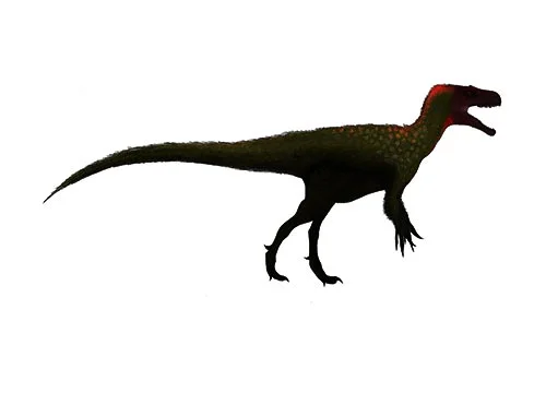 Marshosaurus ‭(‬Marsh’s lizard‭)