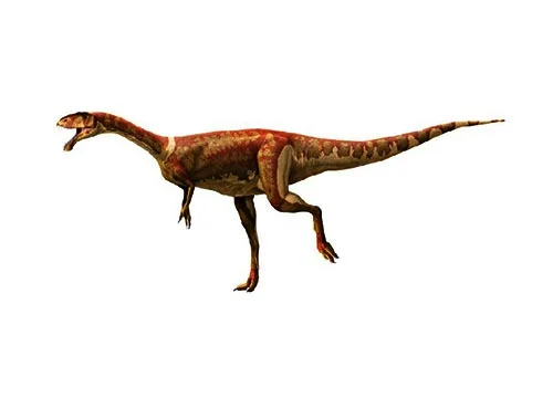 Masiakasaurus‭ (‬Vicious lizard‭)