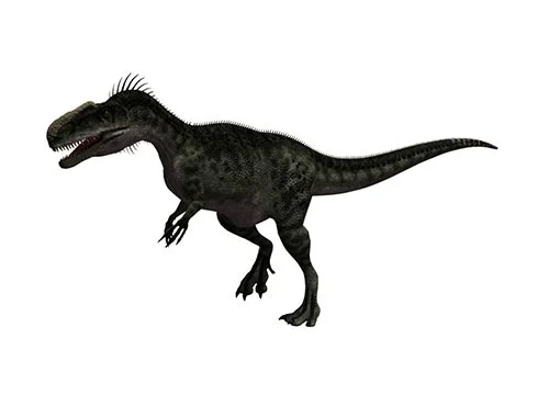 Monolophosaurus ‭(‬Single crested lizard‭)