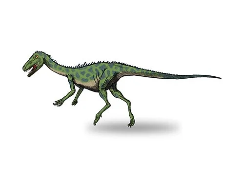 Noasaurus ‭(‬Northwestern Argetnina lizard‭)