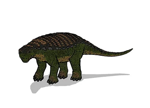 Nodosaurus ‭(‬Knobbled lizard‭)