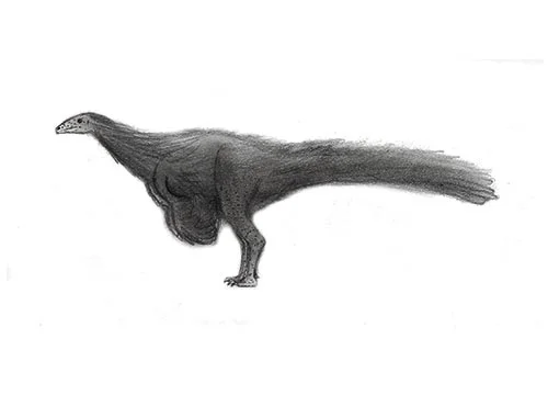 Nqwebasaurus ‭(‬Nqweba lizard‭)