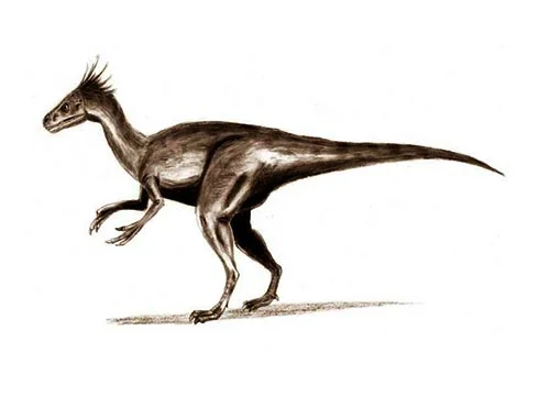 Ornitholestes ‭(‬Bird robber‭)