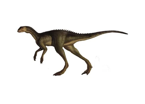 Oryctodromeus (Digging Runner)