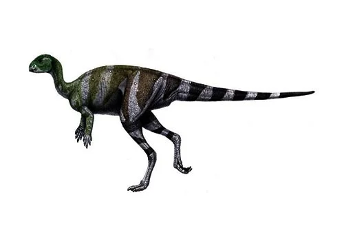Othnielia ‭(‬Othniel’s Dinosaur)