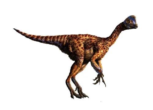 Oviraptor ‭(‬Egg thief‭)