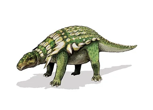 Panoplosaurus ‭(‬Completely armoured lizard‭)‬