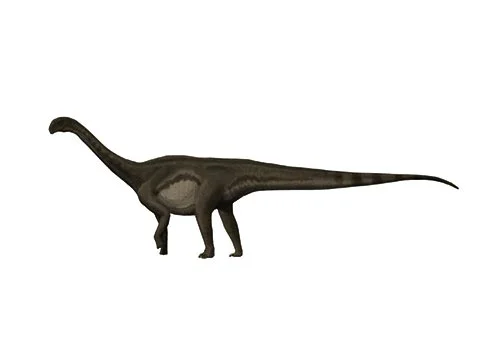 Patagosaurus ‭(‬Patagonian lizard‭)