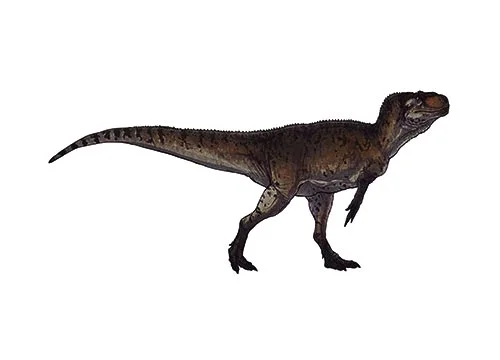 Piatnitzkysaurus ‭(‬Piatnitzky’s lizard‭ ‬-‭ ‬in honour of the palaeontologist Alejandro Mateievich Piatnitzky‭)