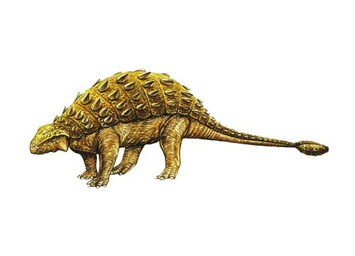 Pinacosaurus ‭(P‬lank lizard‭)‬