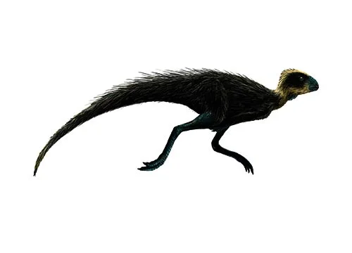 Pisanosaurus ‭(‬Pisano’s lizard‭)