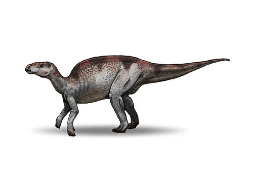 Probactrosaurus ‭(‬Before Bactrosaurus‭)