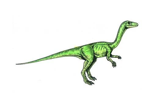 Procompsognathus ‭(‬Before elegant jaw‭ ‬-‭ ‬a reference to the genus Compsognathus‭)