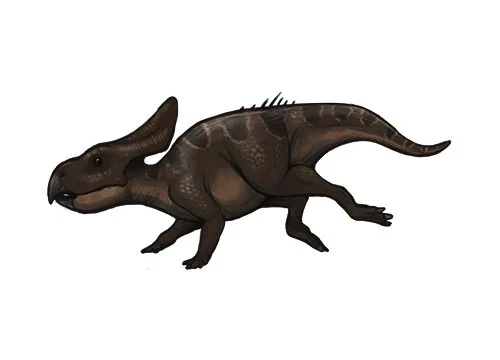 Protoceratops ‭(‬First horned face‭)‬