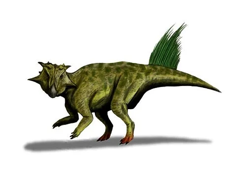 Psittacosaurus (Parrot lizard)