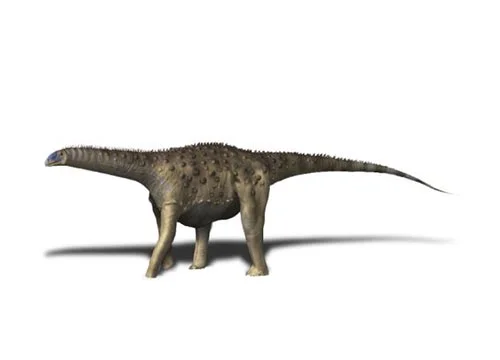 Saltasaurus ‭(‬Salta lizard‭)‬