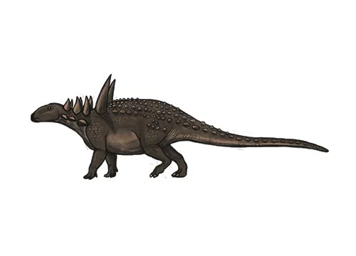 Sauropelta ‭(‬Lizard shield‭)