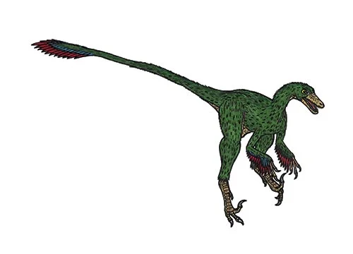 Saurornithoides (Bird like lizard)