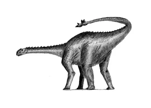 Shunosaurus (Shu lizard)