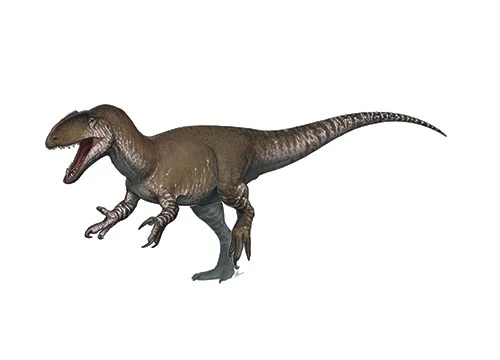 Sinraptor (Chinese thief)