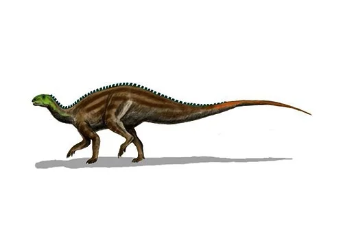 Tenontosaurus‭ (‬Sinew lizard‭)‬