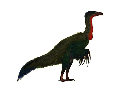 Therizinosaurus ‭(‬Scythe lizard‭)‬