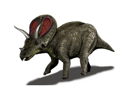 Torosaurus ‭(‬Perforated lizard‭)