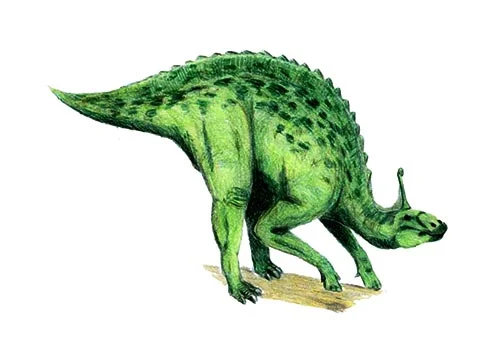 Tsintaosaurus ‭(‬Qingdao lizard‭)