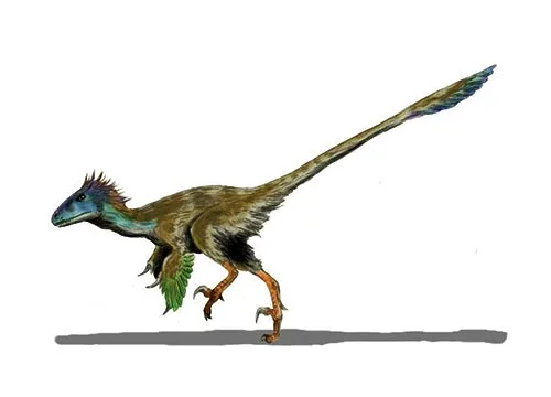 Utahraptor (Utah’s hunter)